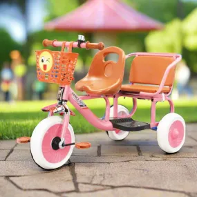 Kids Playful Tricycle
